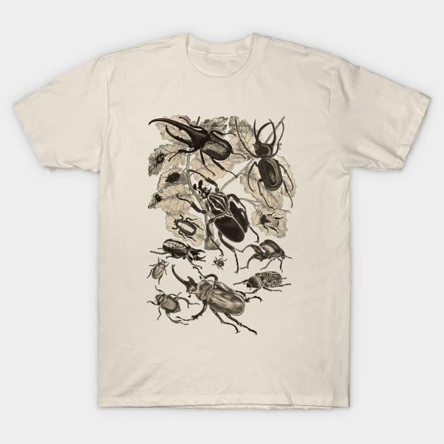 Coleoptera Beetles and Weevils J Mayson Wenge T-Shirt by Scientistudio